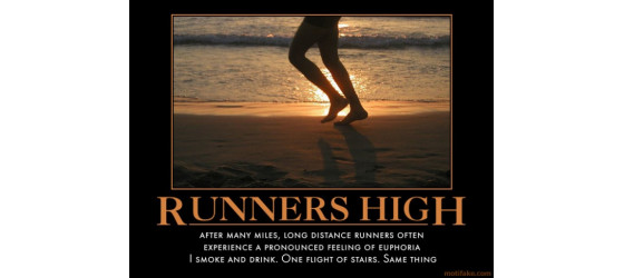 Do you run for the high?