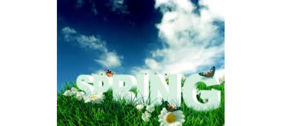 Spring: A fresh (and usually warmer) start!