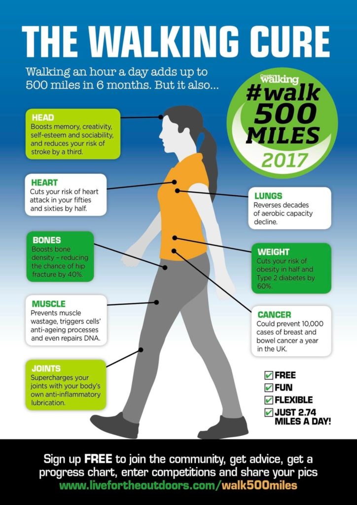 new-challenge-20-minute-walk-every-day-in-november-ec-inc